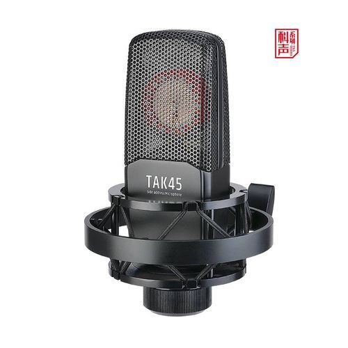 Takstar TAK45 Professional Recording Microphone Condenser - Image 2